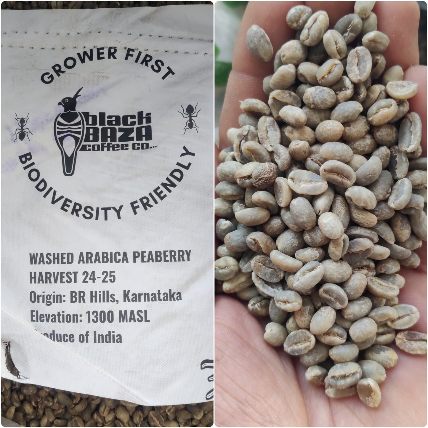 BRT Arabica Peaberry (Beans & Grounds)