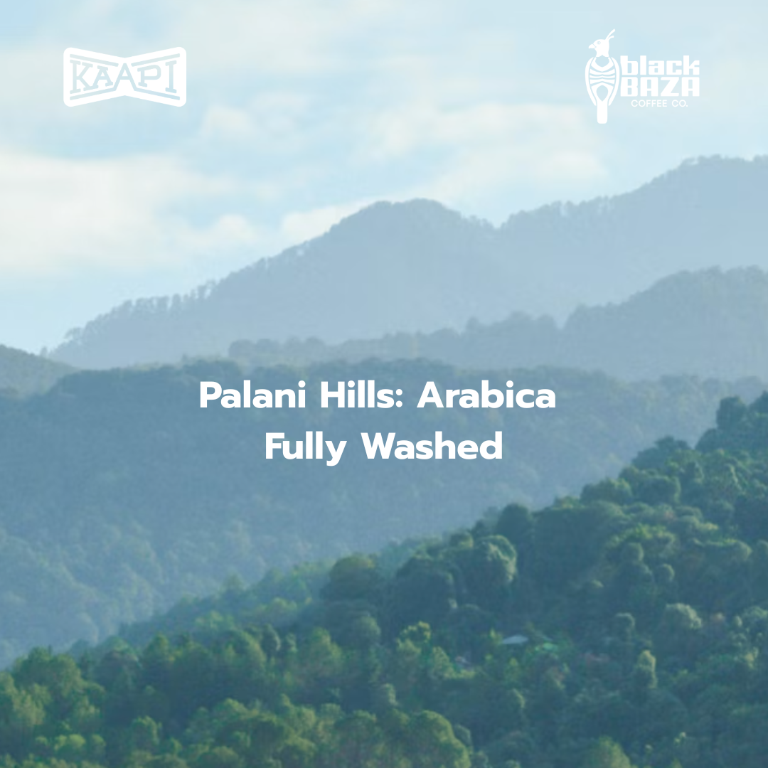 Palani Hills Arabica Washed (Beans & Grounds)