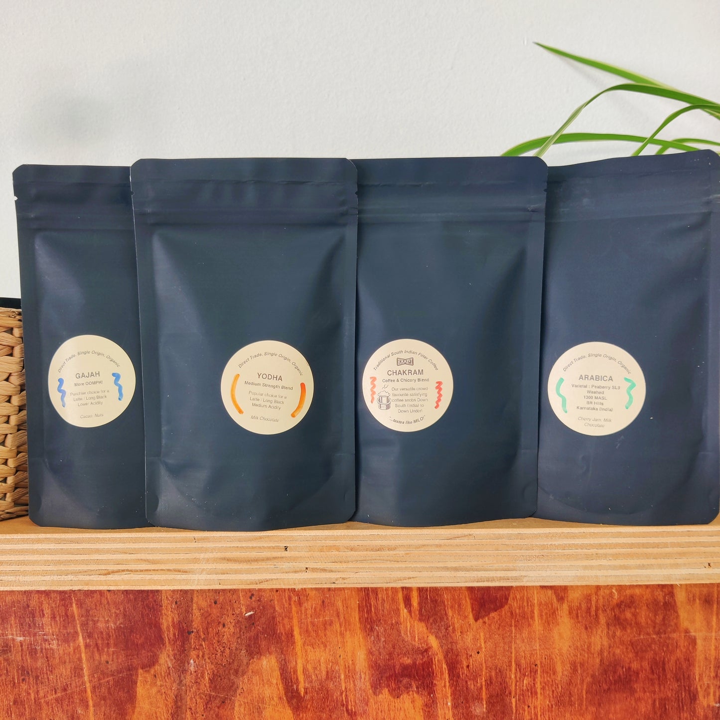 Decoction Sampler Pack