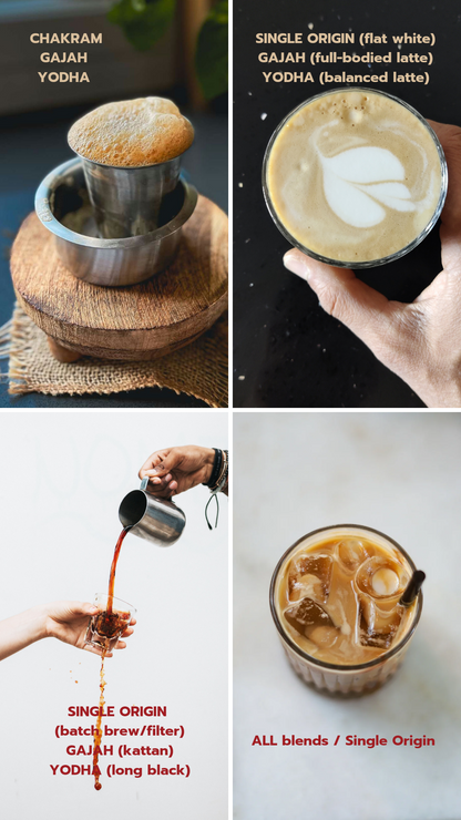 Decoction Starter Pack