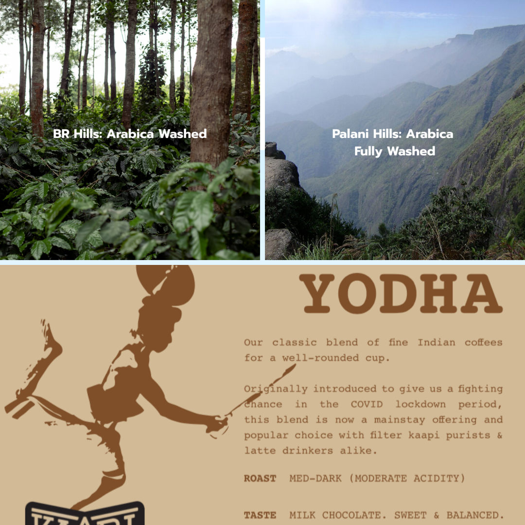YODHA (Single Origin)