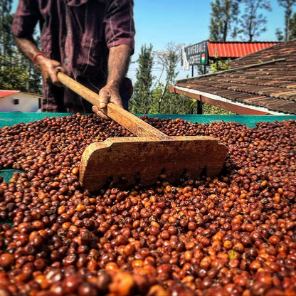 Indian Single Origin