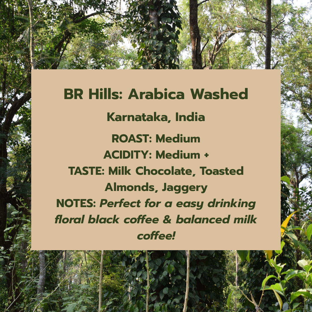 YODHA (Single Origin)