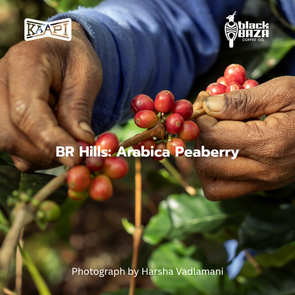 BRT Arabica Peaberry (Beans & Grounds)