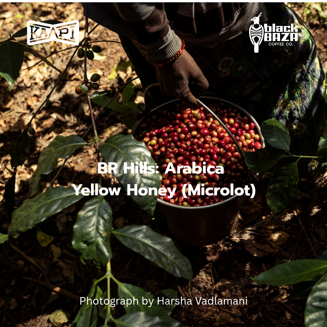 BRT Arabica Yellow Honey (Beans & Grounds)