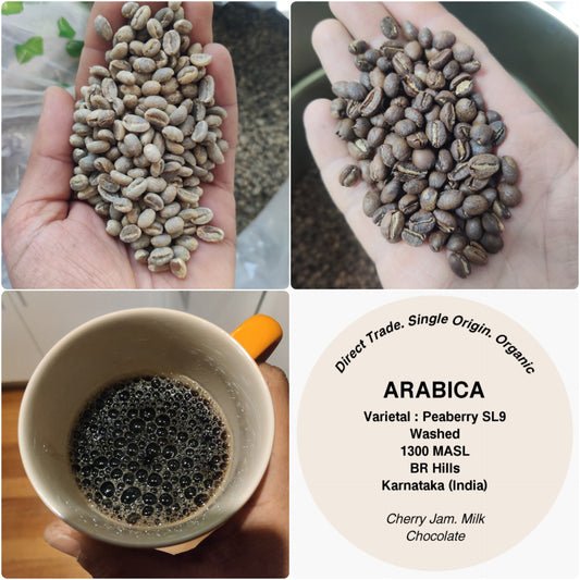 BRT Peaberry Decoction