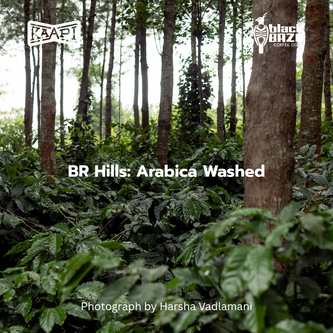 BRT Arabica (Beans & Grounds)