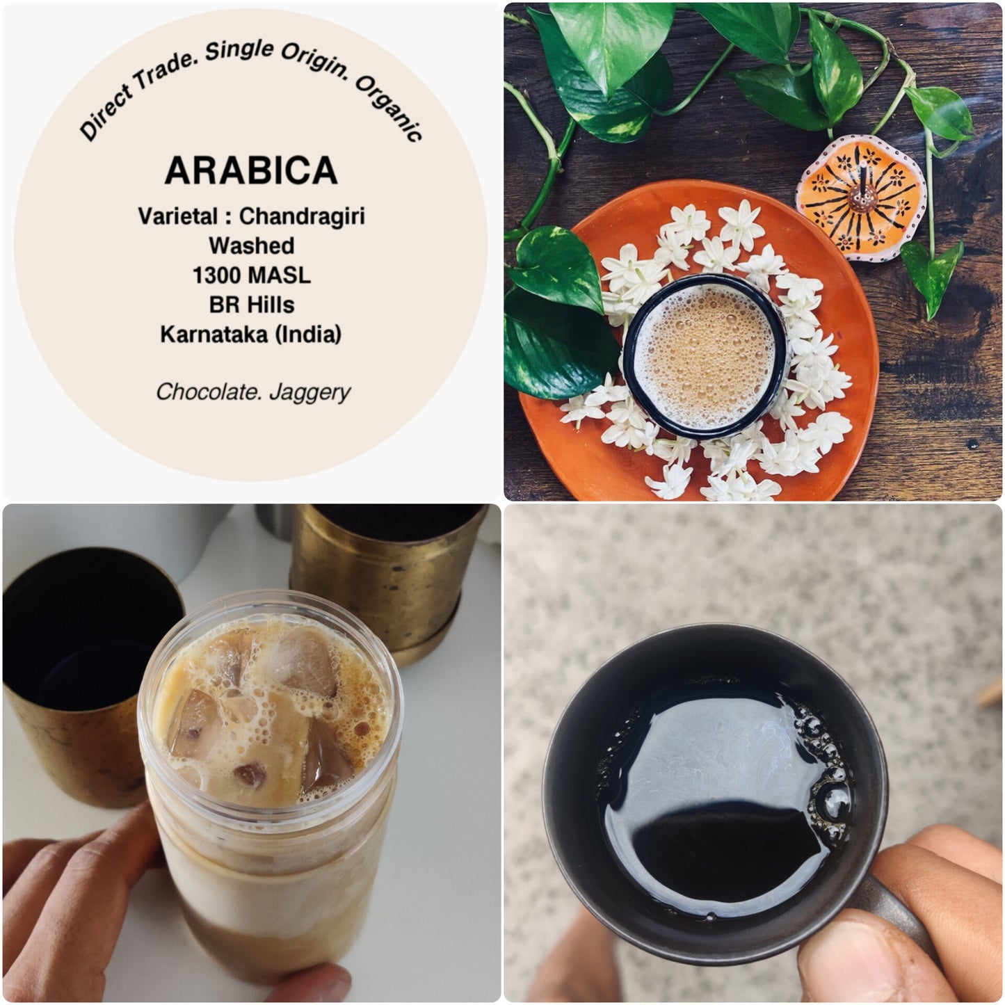 Decoction (Pure Coffee Concentrate)